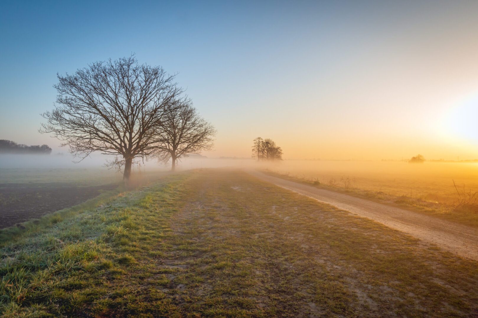 Foggy landscape with trees and sunrise.